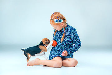 Image showing The happy girl and a beagle puppie on gray background