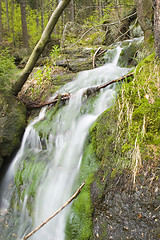 Image showing Stream in the Green