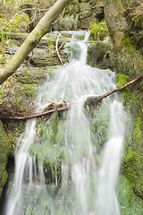 Image showing Stream in the Green