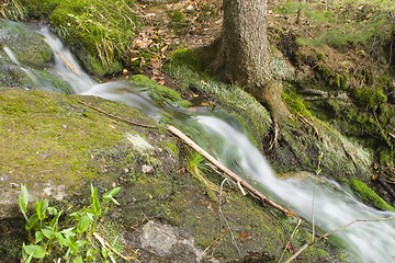 Image showing Stream in the Green