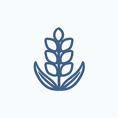 Image showing Wheat sketch icon.