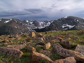 Image showing Alpine Tundra