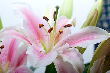 Image showing pink lily flower bouquet