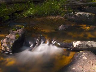 Image showing Dark Forest Water