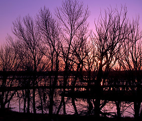 Image showing Flood Abstract with Purple Sunset