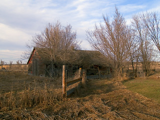 Image showing Old Hog Barn