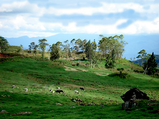 Image showing Kundasang 001