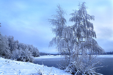 Image showing Winter landscape with trees, covered with hoarfrost and lake vie