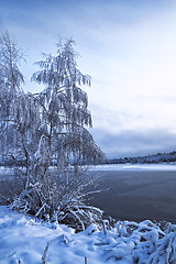 Image showing Winter landscape with trees, covered with hoarfrost and lake 