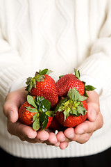 Image showing Strawberry