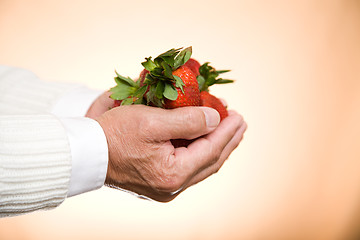 Image showing Holding strawberries