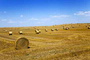 Image showing haystacks straw, field