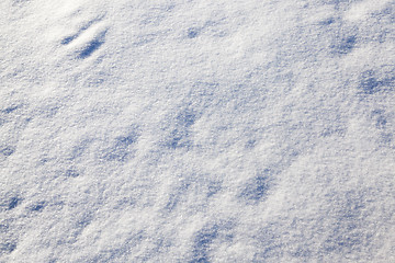 Image showing snow on the ground