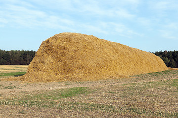 Image showing stack of straw in the field