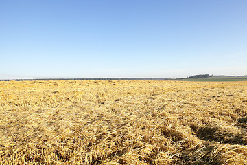 Image showing Photo agriculture, Europe