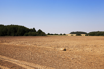 Image showing plowed land, summer