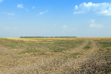 Image showing road in a field