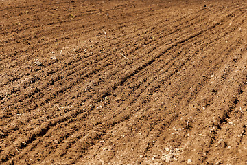 Image showing plowed land for cereal