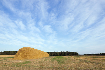 Image showing stack of straw in the field