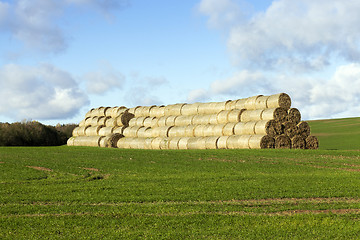 Image showing Photo agriculture, Europe