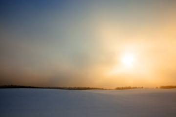 Image showing forest in winter, dawn