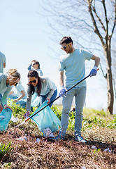 Image showing volunteers with garbage bags cleaning park area