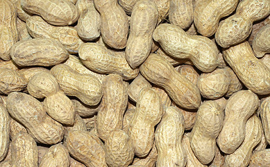 Image showing Peanuts