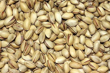 Image showing Pistachio