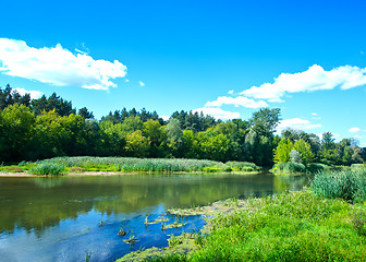 Image showing summer lake