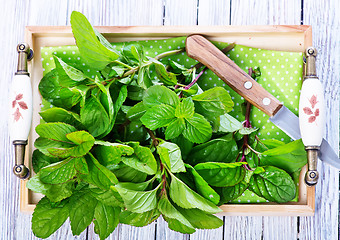 Image showing fresh mint