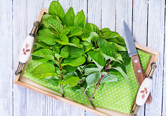 Image showing fresh mint