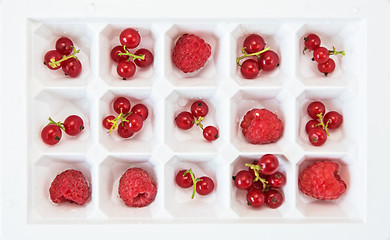 Image showing Fresh berries set
