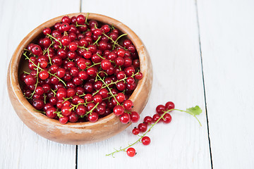 Image showing Fresh red currants