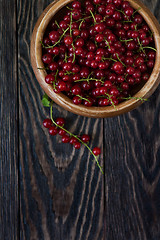 Image showing Fresh red currants