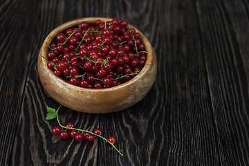 Image showing Fresh red currants