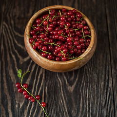 Image showing Fresh red currants