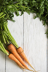 Image showing Freshly grown carrots