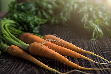 Image showing Freshly grown carrots