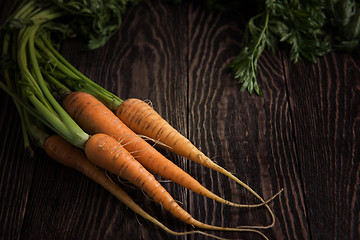 Image showing Freshly grown carrots