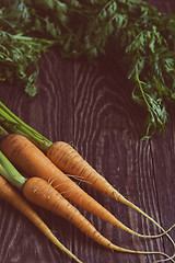 Image showing Freshly grown carrots