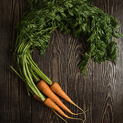 Image showing Freshly grown carrots