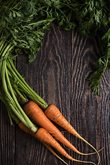 Image showing Freshly grown carrots