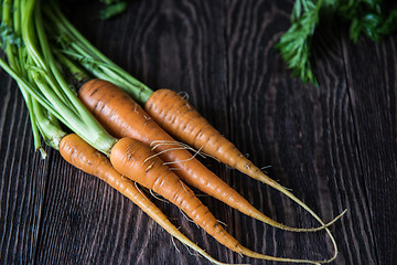 Image showing Freshly grown carrots