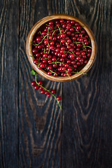 Image showing Fresh red currants