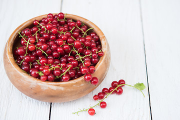 Image showing Fresh red currants