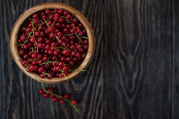 Image showing Fresh red currants