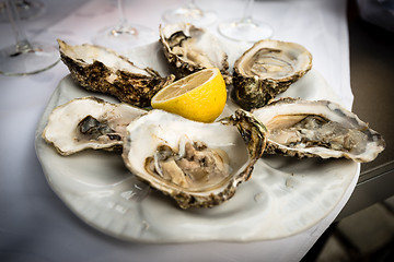 Image showing Hald dozen oysters