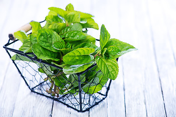 Image showing fresh mint