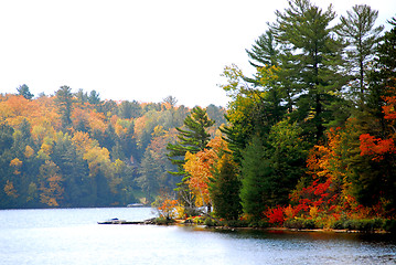 Image showing Autumn lake