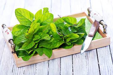 Image showing fresh mint